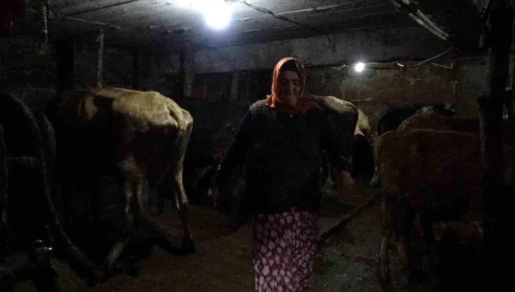 Trabzonlu Çiftçi Mehmetçiklere Bere Örerek Yürekleri Isıtıyor