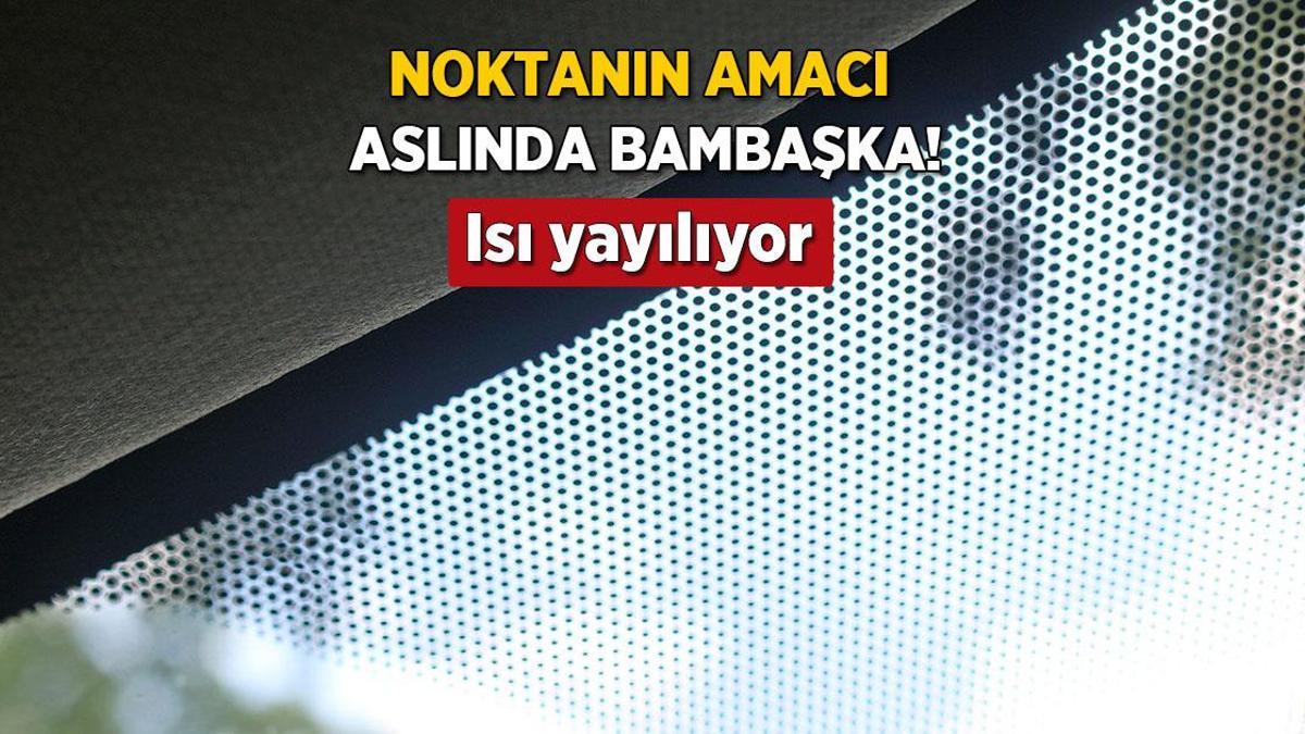 Aracın ön camını kurtaran siyah nokta! Her an çıkabilir, tehlike savıyormuş